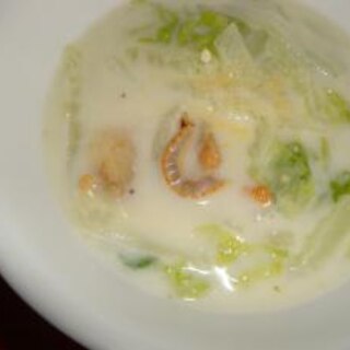 簡単！シチュールーでホタテと白菜のクリームスープ